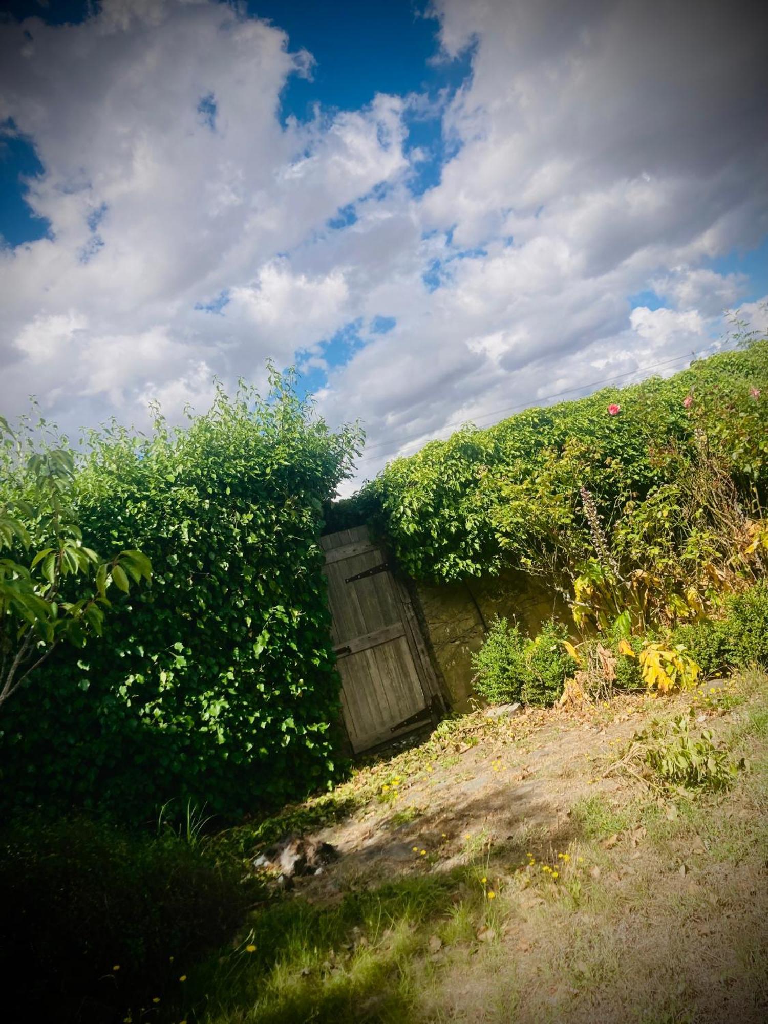 St Andrew'S Inn Conara Junction Esterno foto